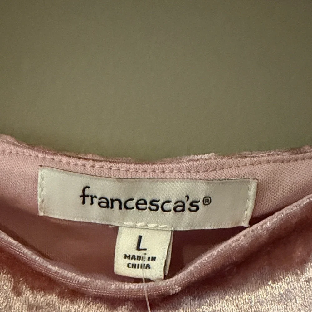 Francesca’s Velvet Bodysuit - Pink - Picture 4 of 9